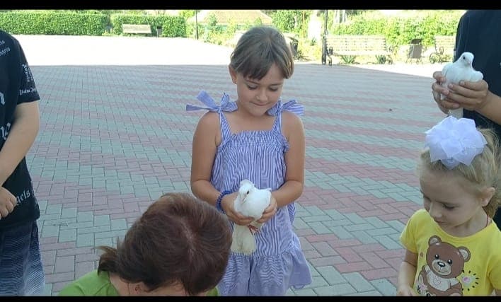 Медиафайл