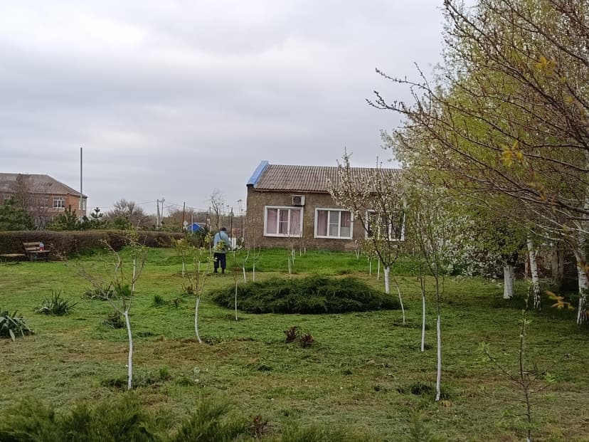 Медиафайл