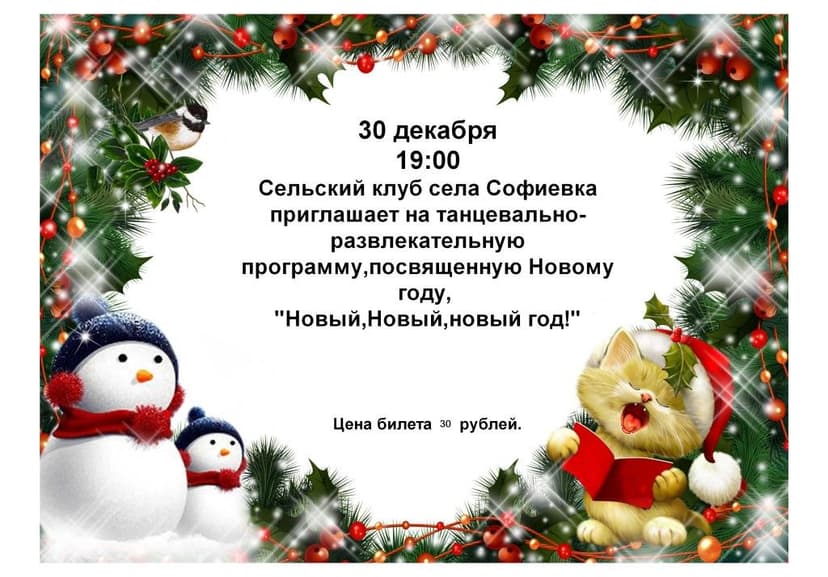 Софиевка Новый год