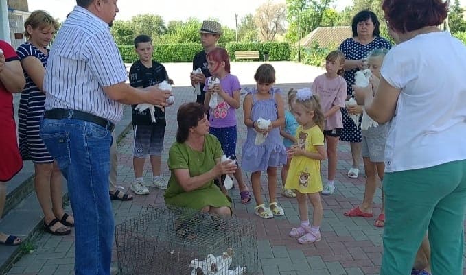«Маленькие Ангелы»